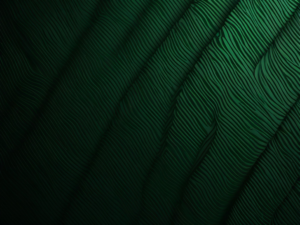 Dark Green Wallpaper 4K  ,desktop background wallpaper