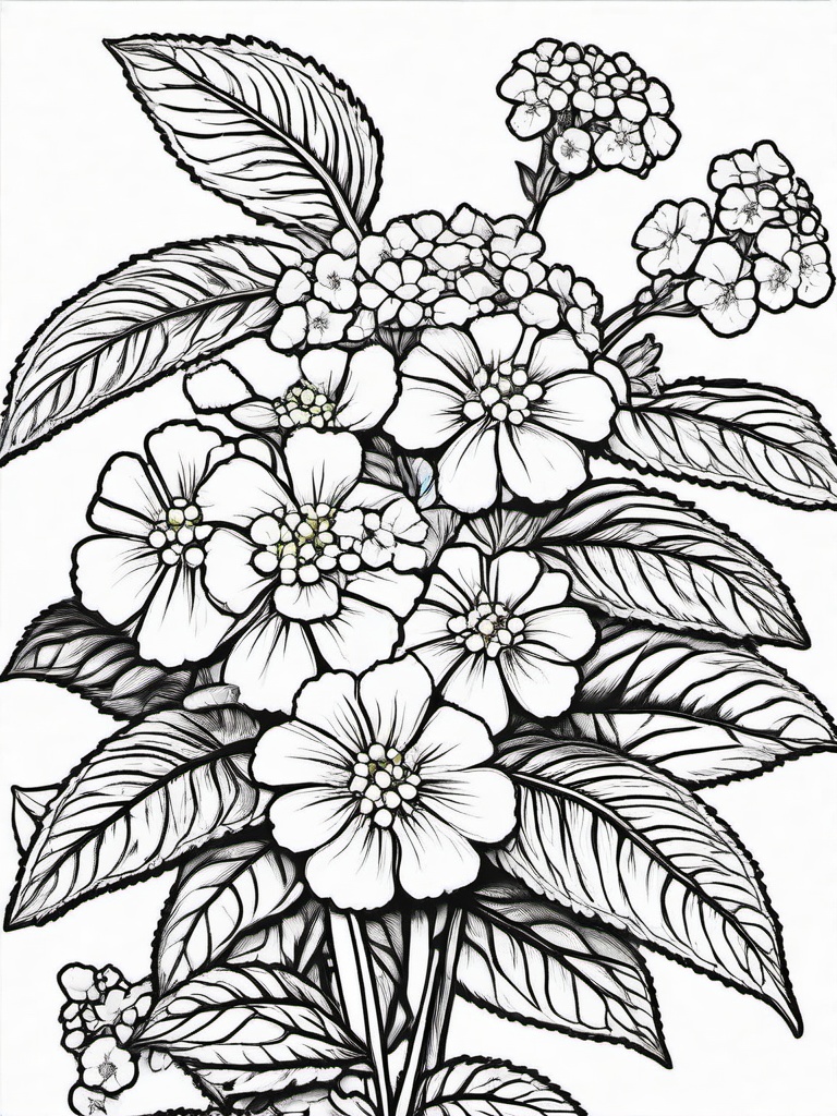 Lantana coloring page sheet - Lantana flowers blooming in a bright, sunny corner of the garden.  black outline printable coloring page