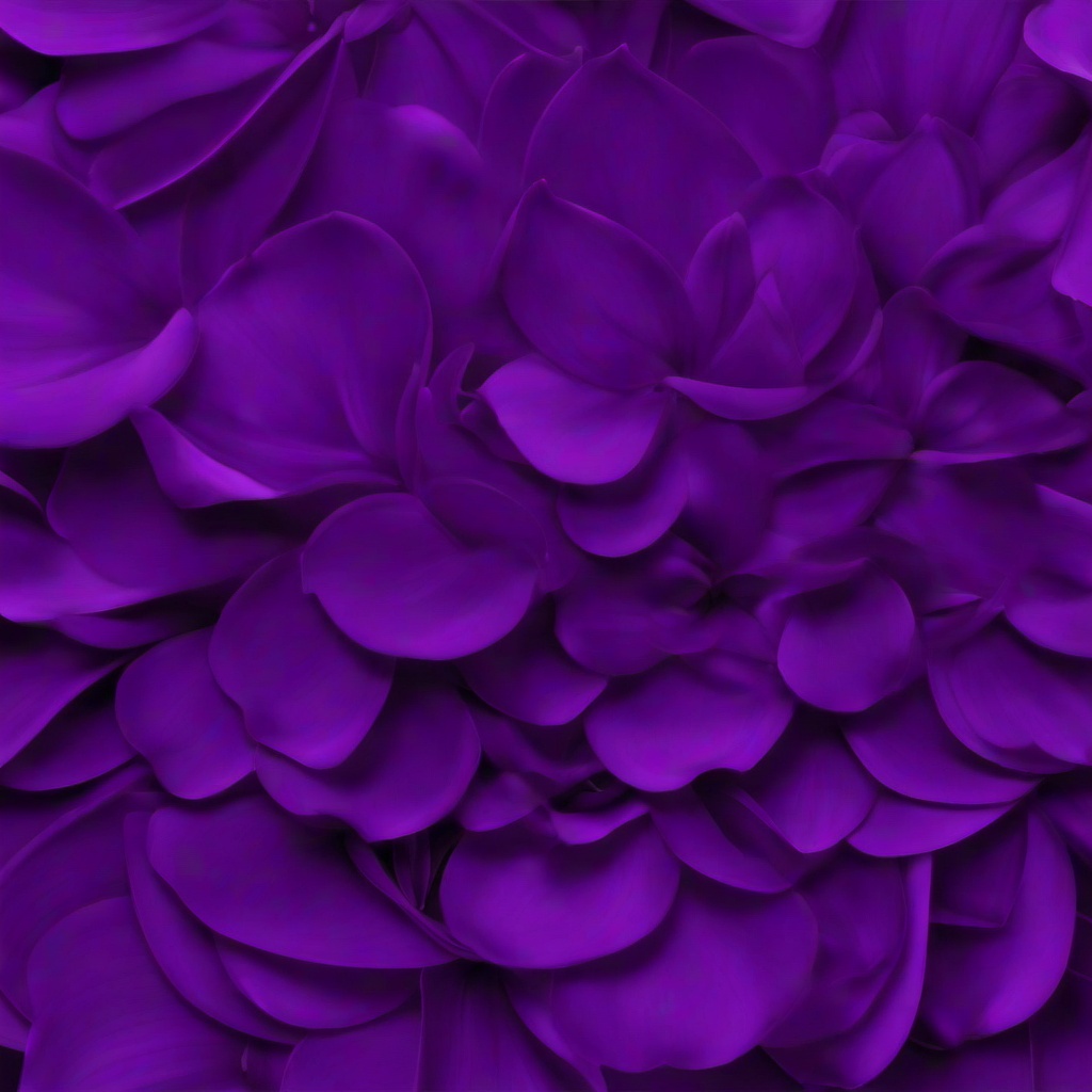 Purple Background Wallpaper - wallpaper purple flower background  