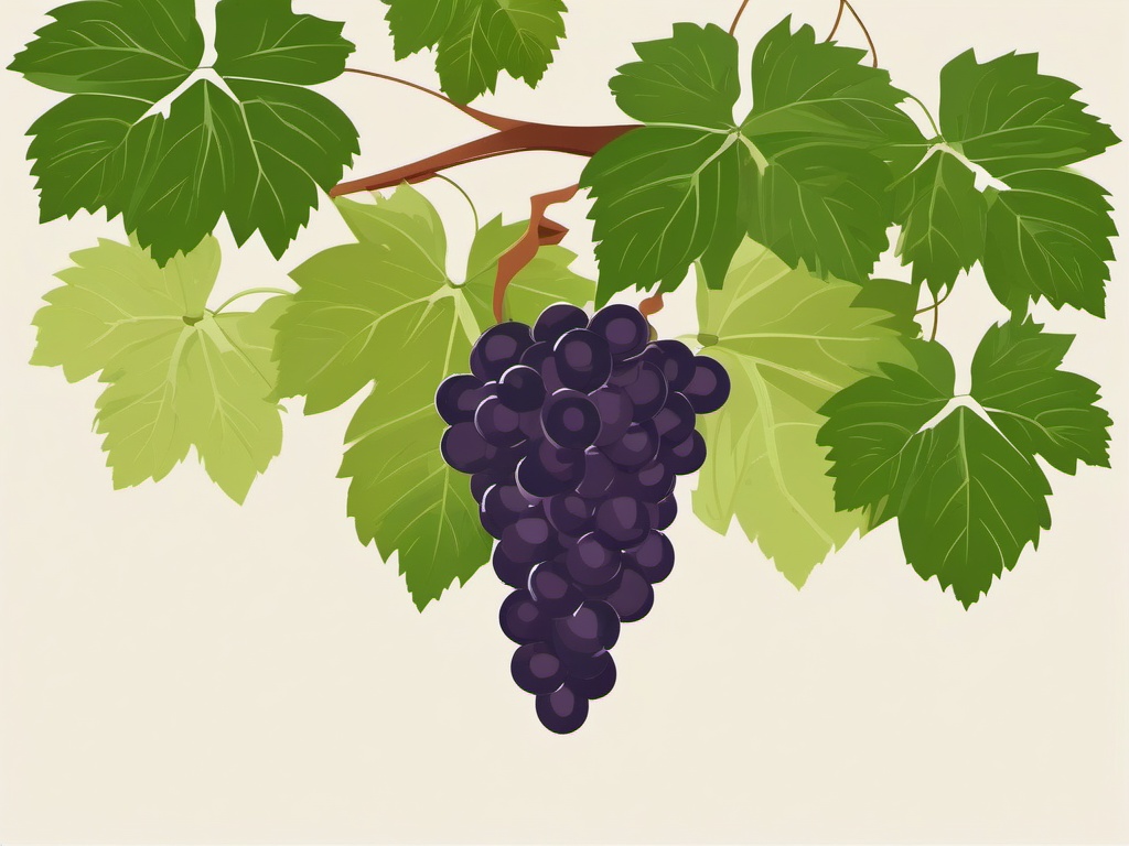 Grapevine with Leaves Clipart - A grapevine with leaves and unripe grapes.  color vector clipart, minimal style