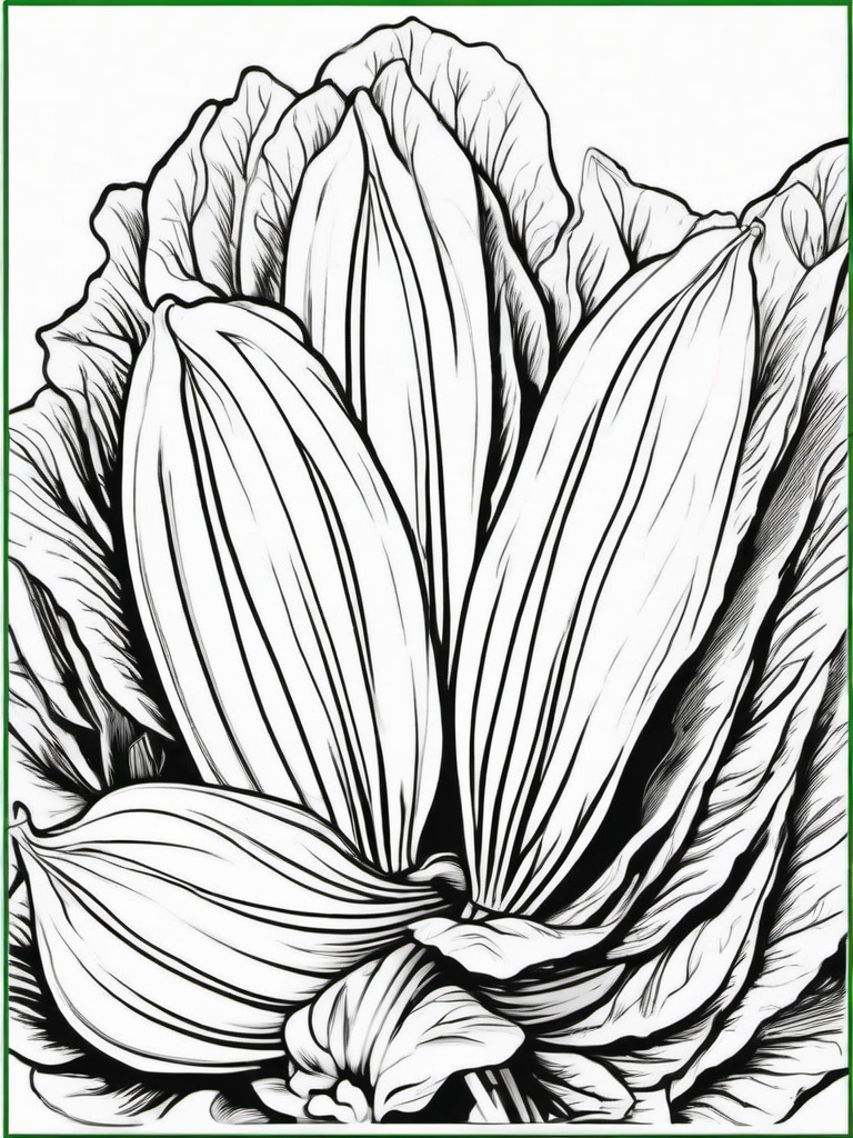 Vegetable Coloring Pages - Bok choy with white stalks  simple coloring pages