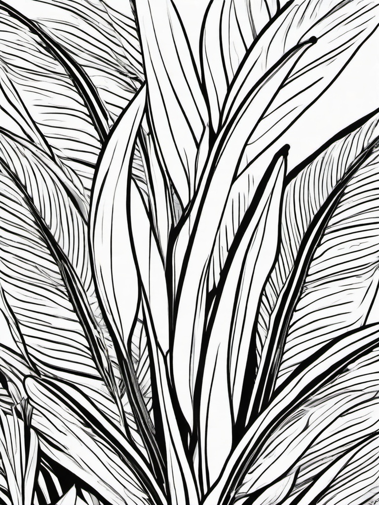 Plant Coloring Pages - Banana plant with oversized tropical leaves  simple coloring pages