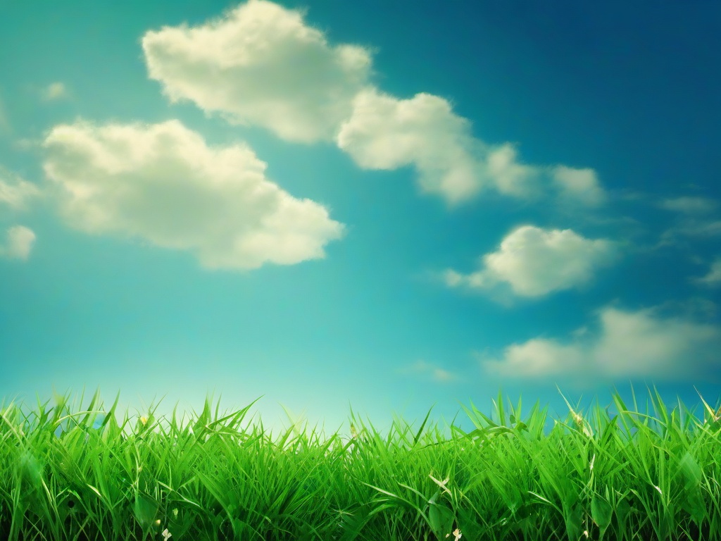 Grass And Sky Wallpaper  ,desktop background wallpaper