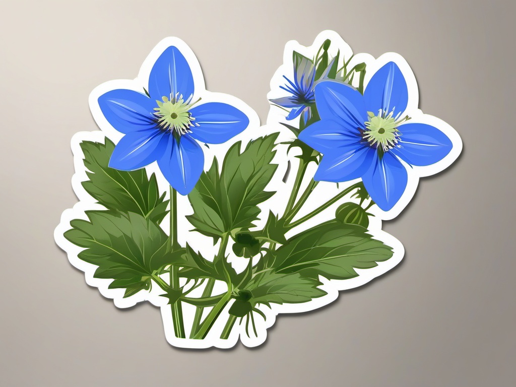 Borage Sticker - Decorate your garden and salads with the brilliant blue flowers and cucumber-like flavor of borage, , sticker vector art, minimalist design