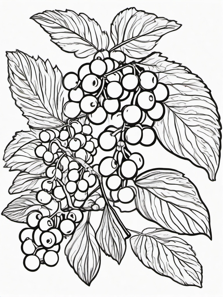 Fruit Coloring Pages - Elderberries in a small bundle  simple coloring pages