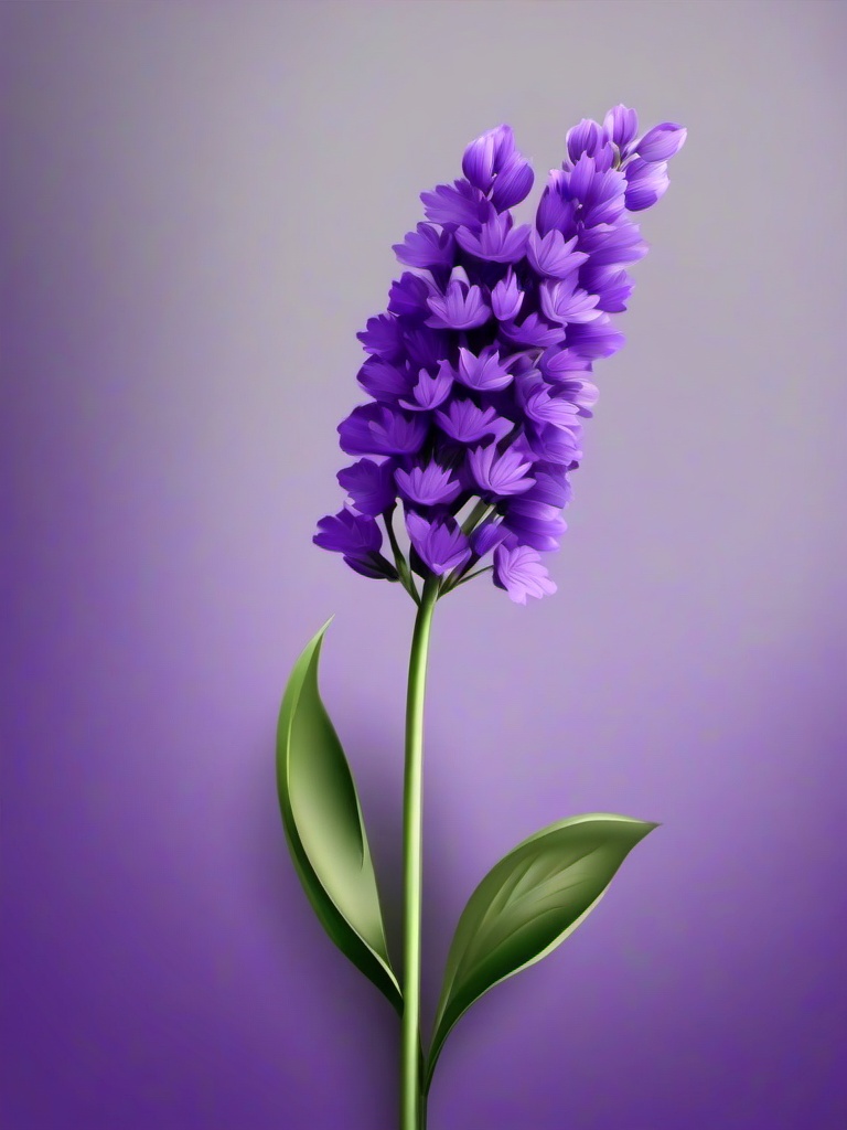 Flower Background Wallpaper - lavender flower background  