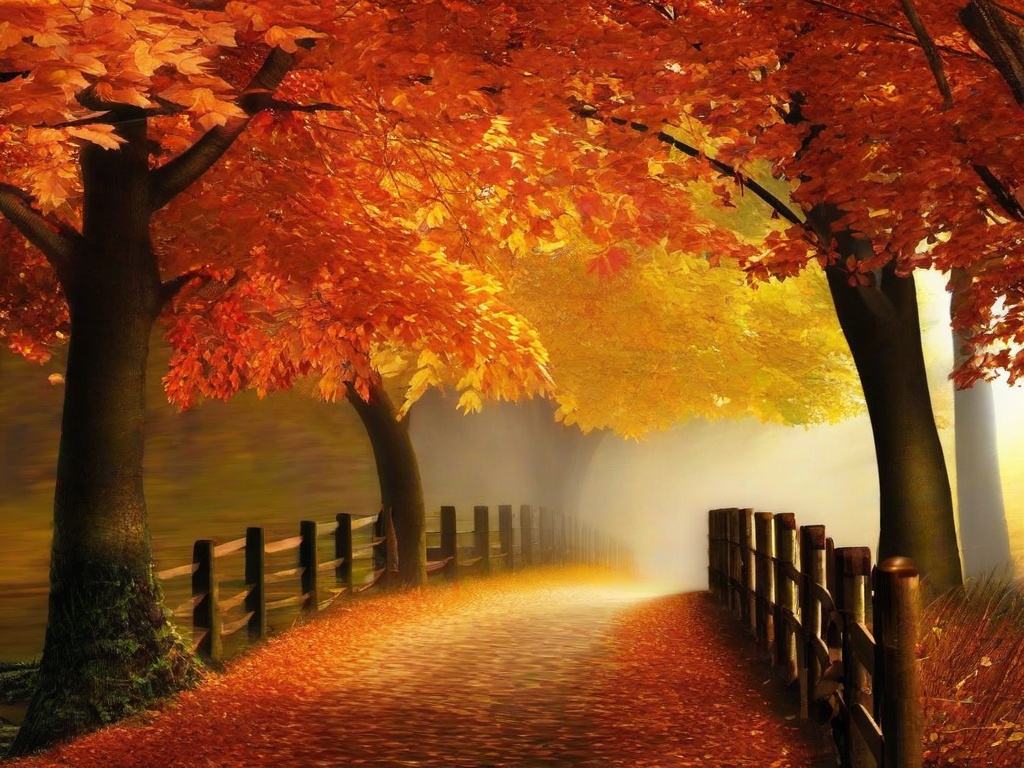 Fall Background Wallpaper - pictures of fall backgrounds  