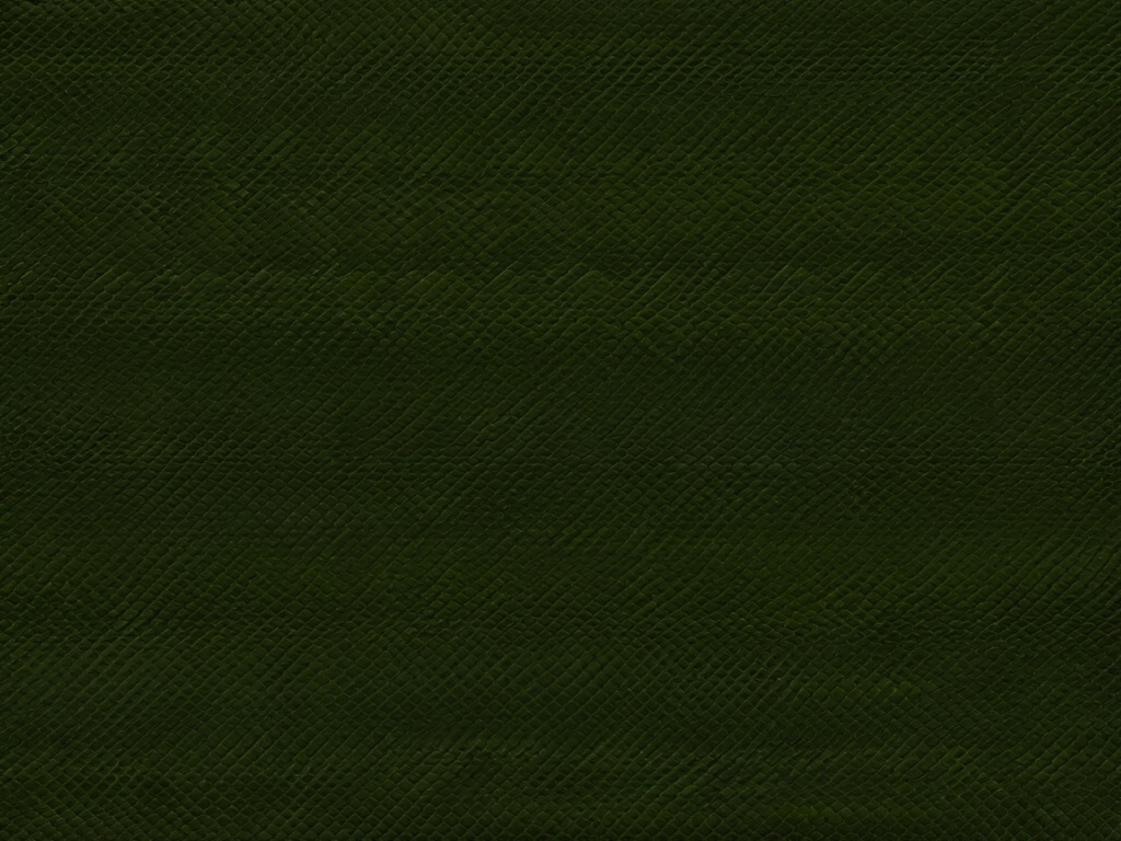 Dark Olive Green Wallpaper  ,desktop background wallpaper