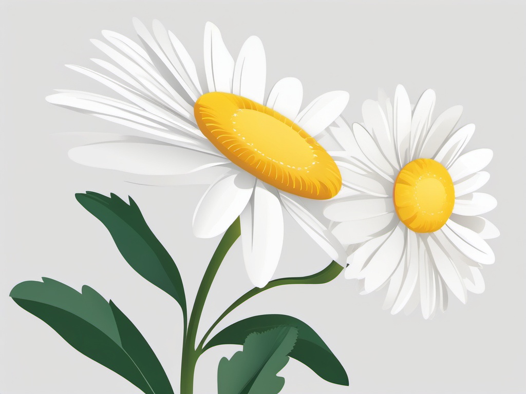 Daisy Clip Art - A white daisy adorned with a sunny yellow center,  color vector clipart, minimal style