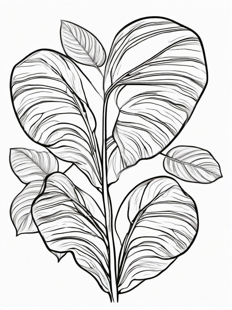 Plant Coloring Pages - Philodendron with large heart-shaped leaves  simple coloring pages