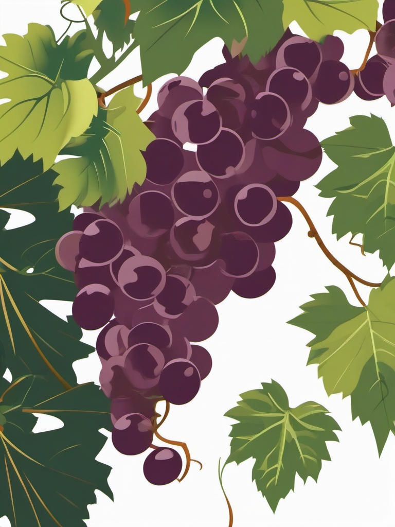 Grape Vine Clipart - A close-up of a grapevine with leaves and grapes.  color vector clipart, minimal style