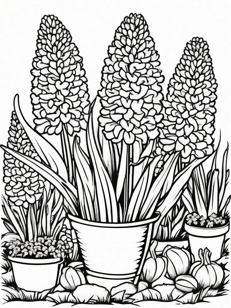 Hyacinth coloring page sheet - Colorful hyacinths blooming in a small garden patch.  black outline printable coloring page