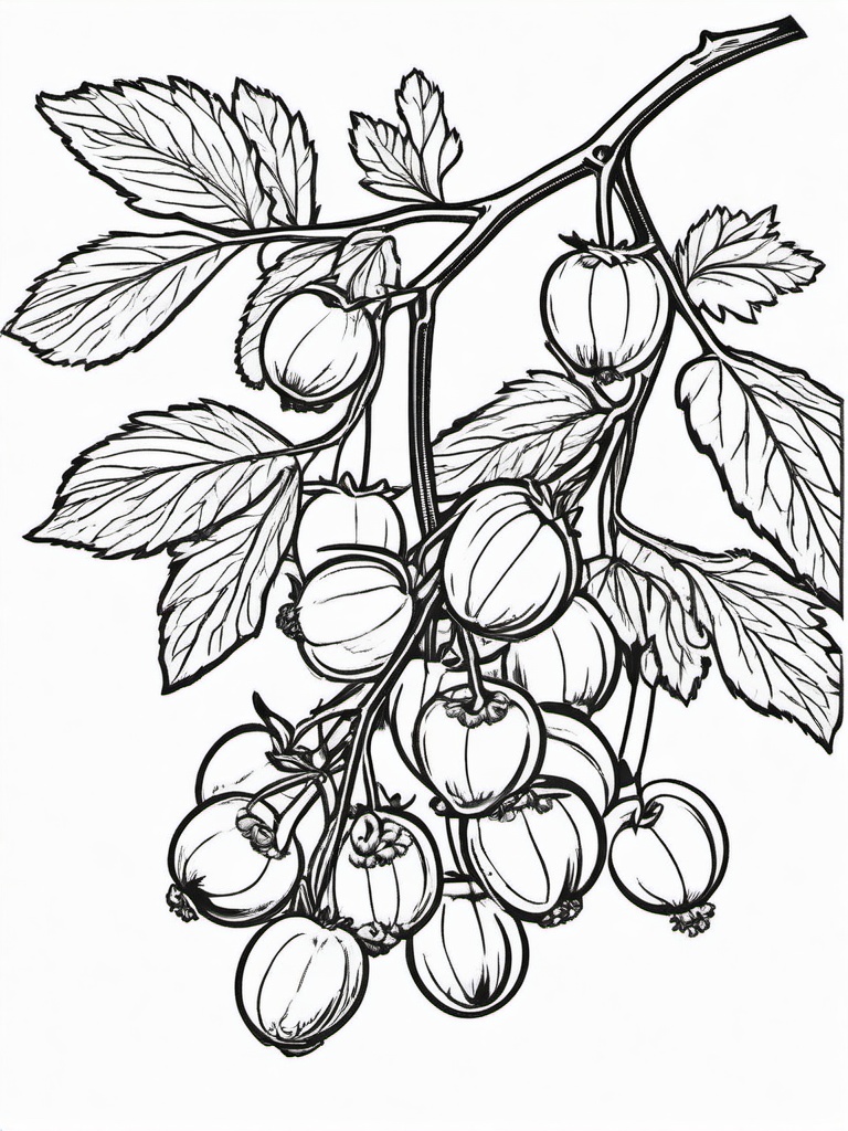 Fruit Coloring Pages - Gooseberry branch with berries  simple coloring pages