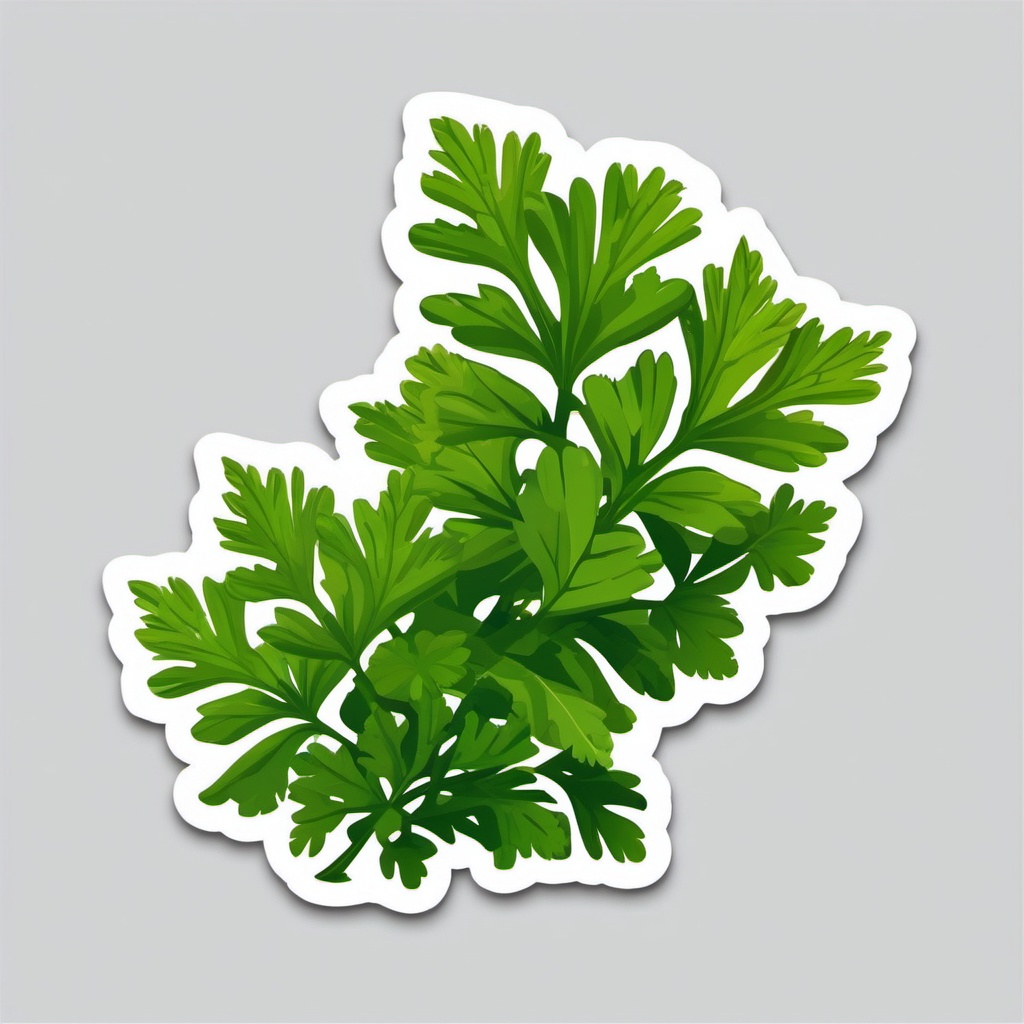 Cilantro Sticker - Introduce a zesty and citrusy kick to your meals with the vibrant leaves of cilantro, , sticker vector art, minimalist design