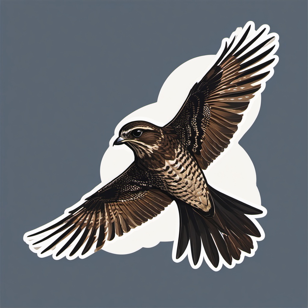 Common Nighthawk Sticker - A common nighthawk in flight with distinctive wing patterns, ,vector color sticker art,minimal