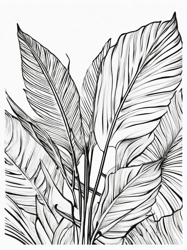 Plant Coloring Pages - Tropical palm with large, fan-like leaves  simple coloring pages