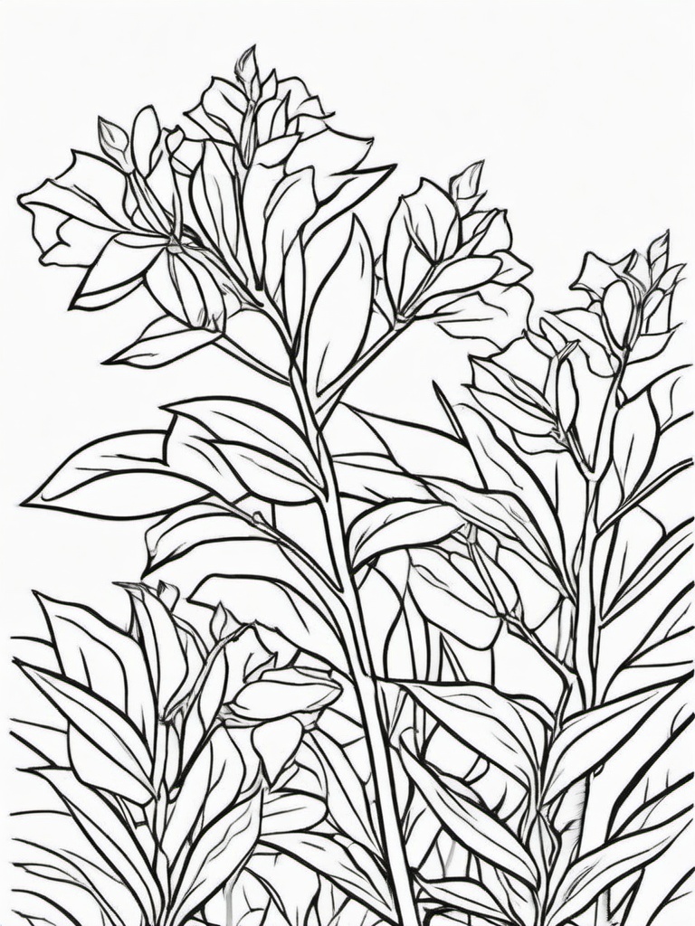 Plant Coloring Pages - Plant with thorns  simple coloring pages