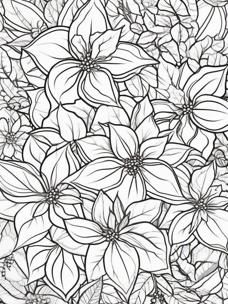 Poinsettia Coloring Sheet  outling,coloring pages,black and whit