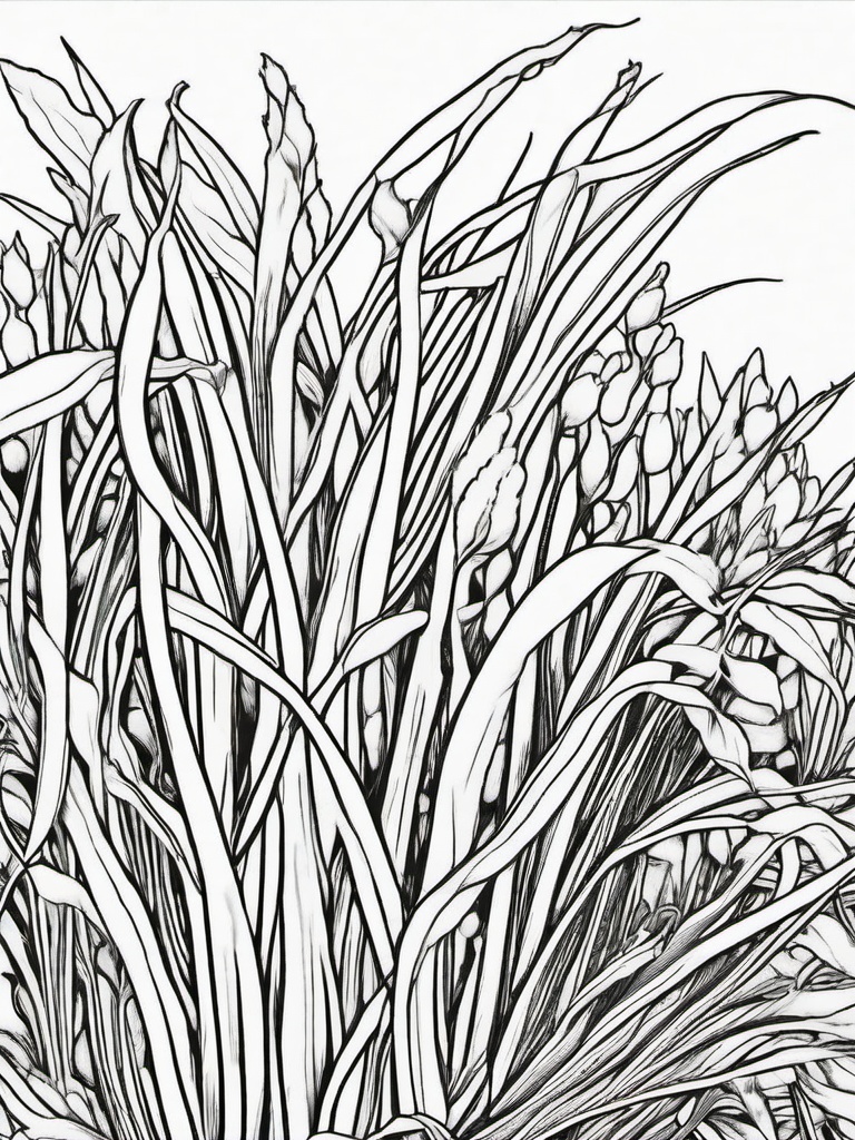 Vegetable Coloring Pages - Bean sprouts with roots  simple coloring pages