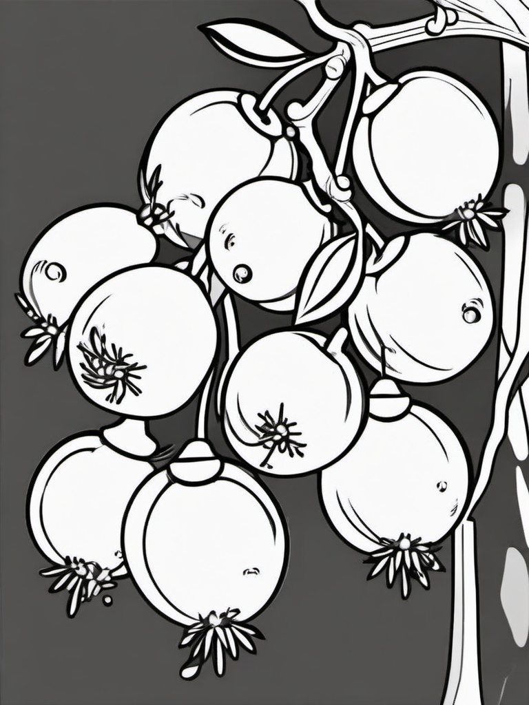 Fruit Coloring Pages - Cranberries on a small branch  simple coloring pages