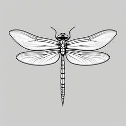 Dragon Fly Tattoo Stencil - Stencil-based design for a dragonfly tattoo.  simple color tattoo,minimalist,white background