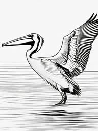 Pelican Coloring Pages - Large Beaked Water Bird  minimal black outline printable sheet, coloring page