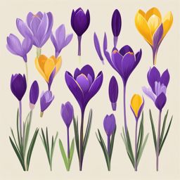 Crocus Clip Art - A delicate crocus in shades of purple and yellow,  color vector clipart, minimal style