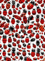 Ladybug  clipart