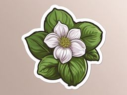 Basil Blossom Sticker - Celebrate the beauty and delicate flavor of basil blossoms with a botanical sticker, , sticker vector art, minimalist design