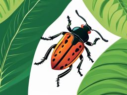 Beetle on a Leaf Close-Up Clip Art - Close-up of a beetle resting on a green leaf,  color vector clipart, minimal style