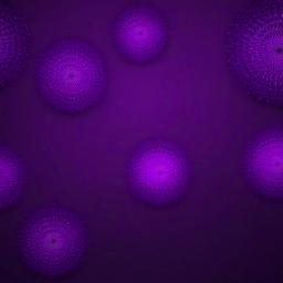 Purple Background Wallpaper - wallpaper dark purple  