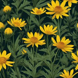 Boreal Alpine Arnica Clip Art - Alpine arnica in boreal landscapes,  color vector clipart, minimal style