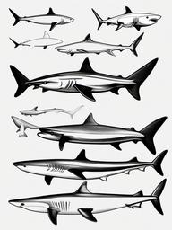 drawing of Common skate shark  minimal rough sketch scribbles,doodles,black and white