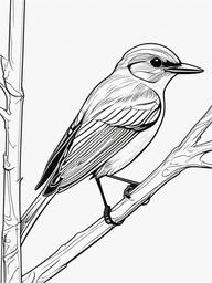 Flycatcher Coloring Pages - Agile Aerial Insect Hunter  minimal black outline printable sheet, coloring page