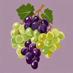 Grape Bunch Clipart - A bunch of juicy grapes in various colors.  color vector clipart, minimal style