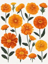 Marigold Clip Art - A sunny marigold in shades of orange and yellow,  color vector clipart, minimal style