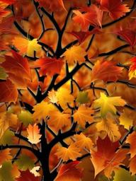 Fall Background Wallpaper - fall background wallpaper free  