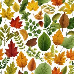 Leaf  clipart