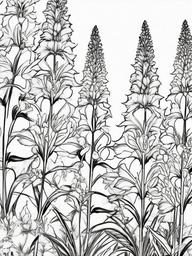 Floral Larkspur - Tall spires of colorful flowers.  outling,coloring pages,black and white