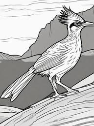 Roadrunner Coloring Pages - Speedy Desert Running Bird  minimal black outline printable sheet, coloring page