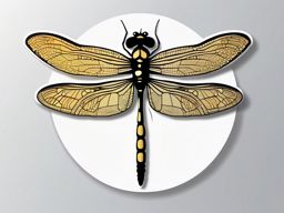 Dragonfly sticker, Delicate , sticker vector art, minimalist design