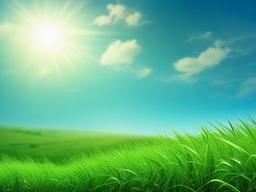 Blue Sky And Grass Background  ,desktop background wallpaper