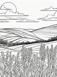 Goldenrod coloring page sheet - Goldenrod flowers swaying in a sunny, open field.  black outline printable coloring page