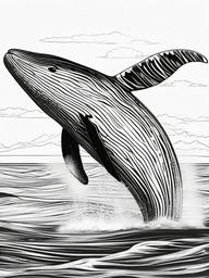 Whale Coloring Pages - Largest Mammal in the Ocean  black outline printable coloring page