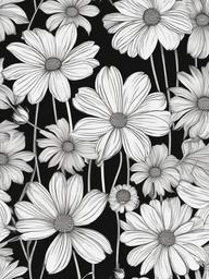 Floral Cosmos - Light, airy petals with a daisy-like shape.  outling,coloring pages,black and white