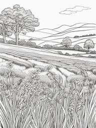 Plant Coloring Pages - Lavender and chamomile in a wild field  simple coloring pages