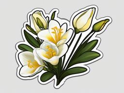 Freesia Sticker - Enjoy the fragrant and delicate beauty of freesia blossoms with this elegant sticker, , sticker vector art, minimalist design