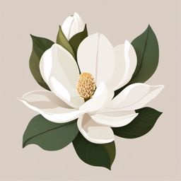 Magnolia Clip Art - A white magnolia blossom with a sweet fragrance,  color vector clipart, minimal style