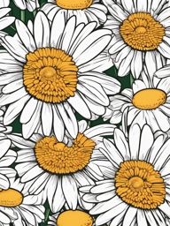 Clipart of a Daisy,Illustrating a daisy-themed coloring book  simple, 2d flat