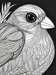 Weaverbird Coloring Pages - Intricate Nest Building Bird  minimal black outline printable sheet, coloring page